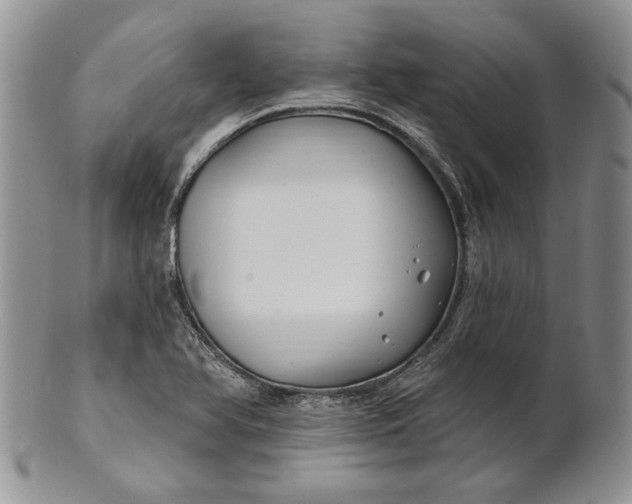 X0000100781366200807101806