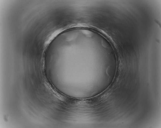 X0000100781367200807101806