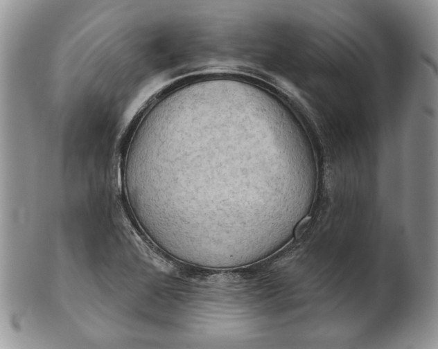 X0000100781368200807101806