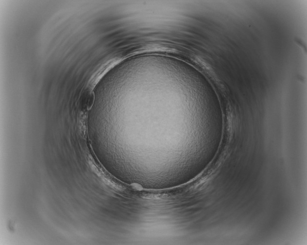 X0000100781369200807101806