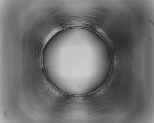 X0000100781370200807101805