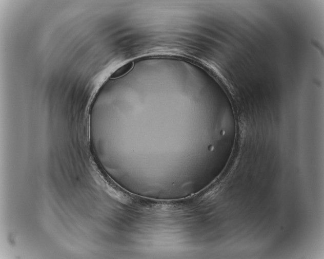 X0000100781371200807101805