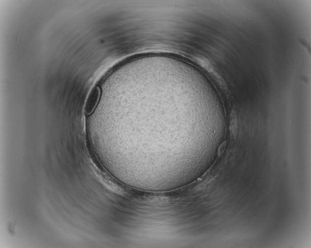 X0000100781372200807101805