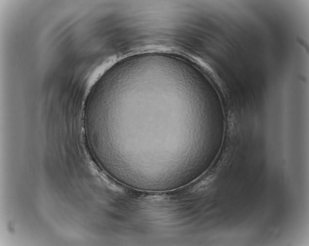 X0000100781373200807101805