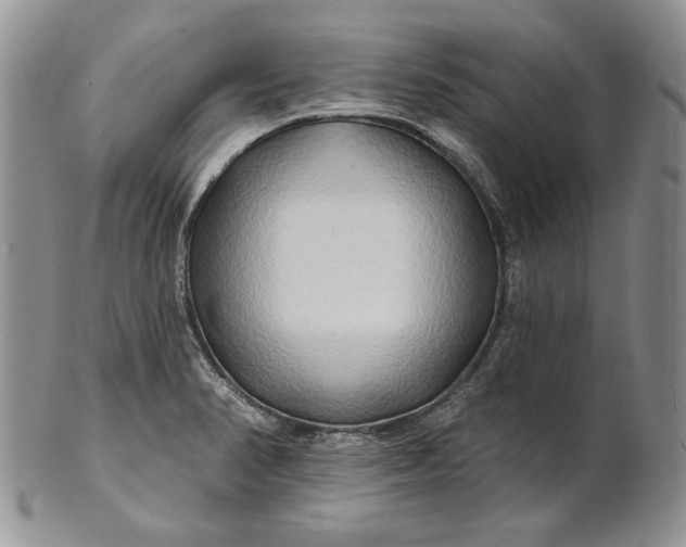 X0000100781374200807101805