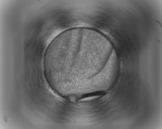 X0000100781375200807101805