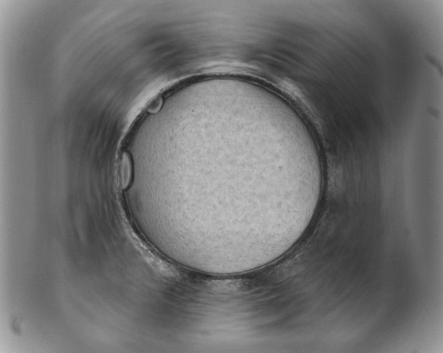 X0000100781376200807101805