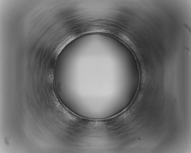 X0000100781377200807101805