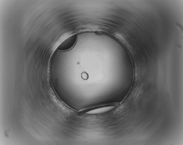 X0000100781378200807101805