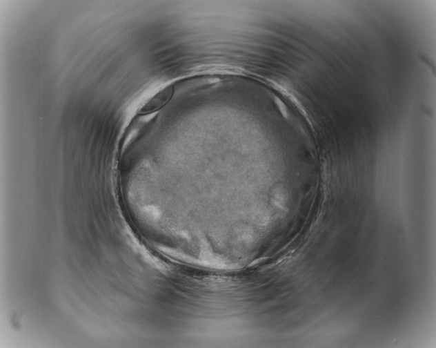 X0000100781379200807101805