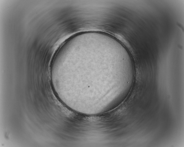 X0000100781380200807101805