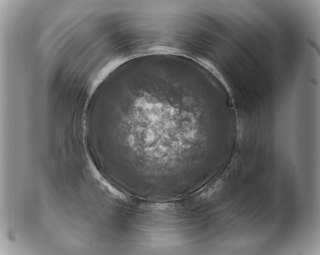 X0000100781381200807101805