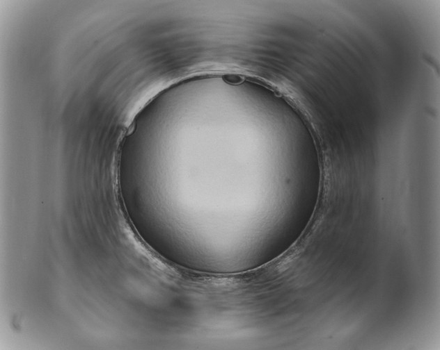 X0000100781382200807101805