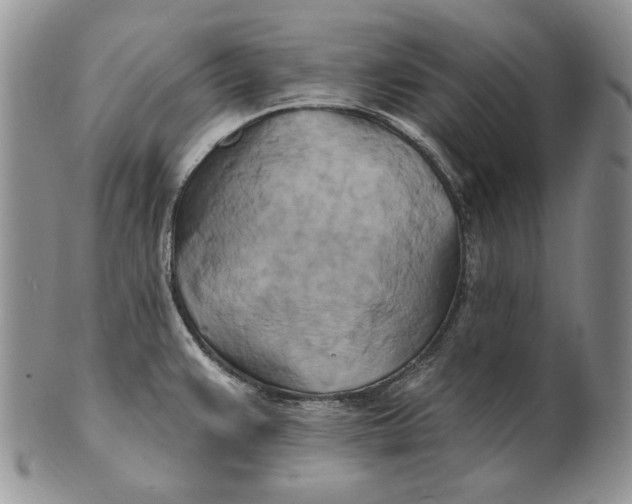 X0000100781383200807101805