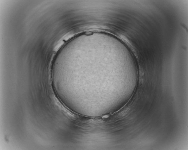 X0000100781384200807101805