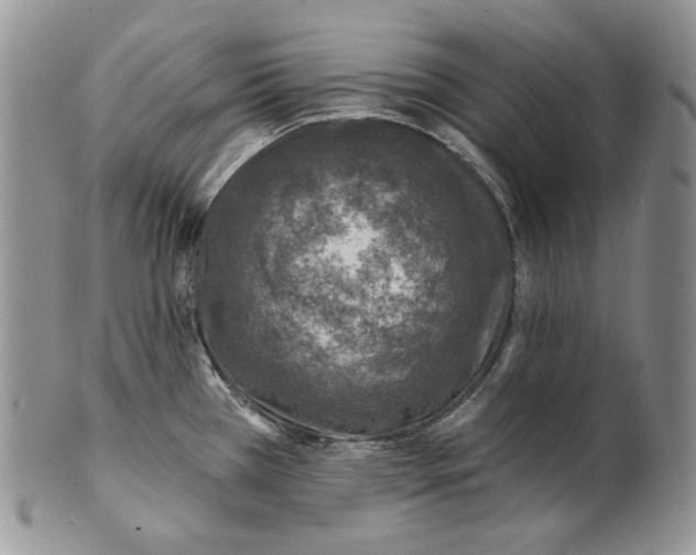 X0000100781385200807101805