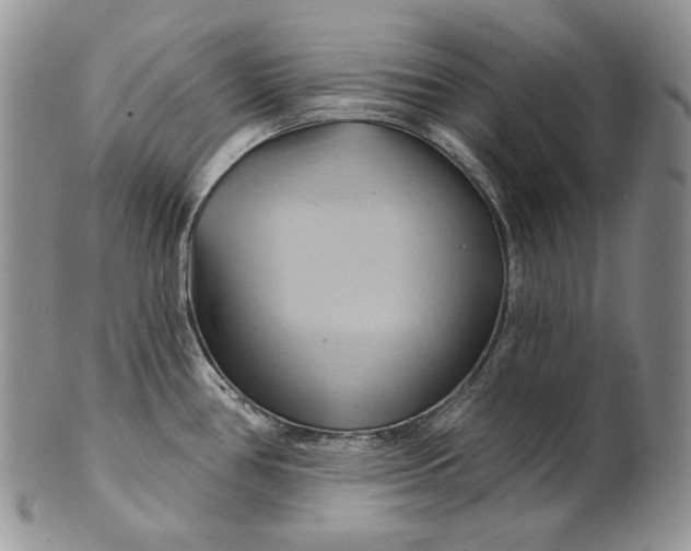 X0000100781386200807101805