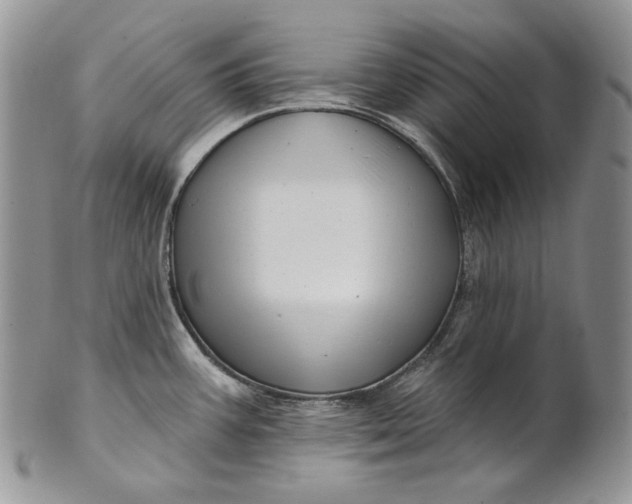 X0000100781387200807101805