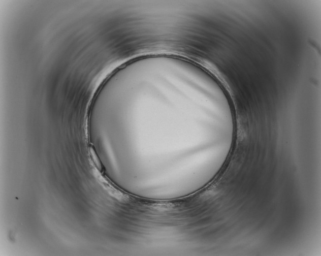 X0000100781388200807101805