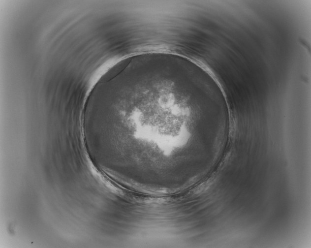 X0000100781389200807101805