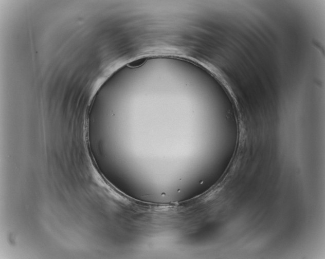 X0000100781390200807101805