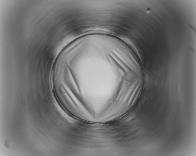 X0000100781391200807101805