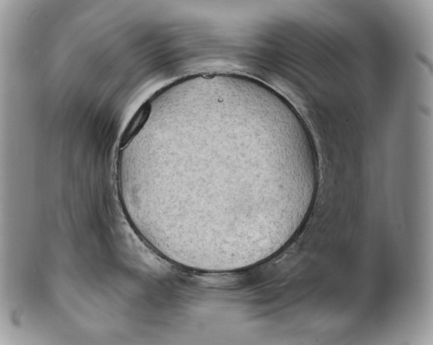 X0000100781392200807101805