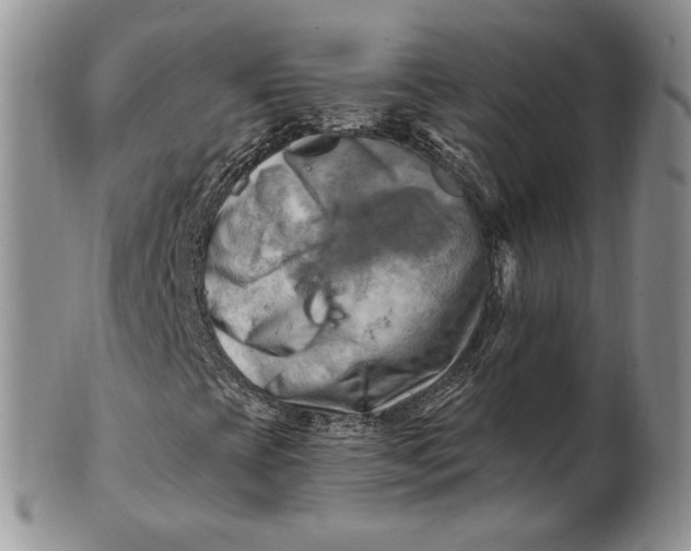 X0000100781393200807101804