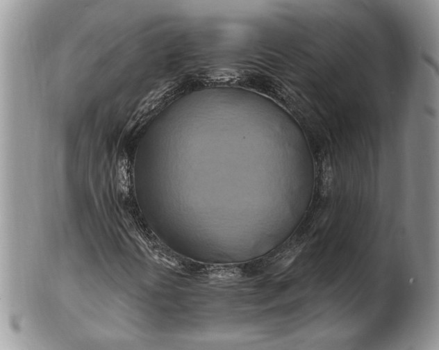 X0000100781394200807101804