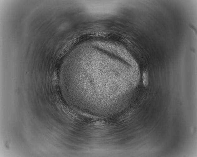 X0000100781395200807101804