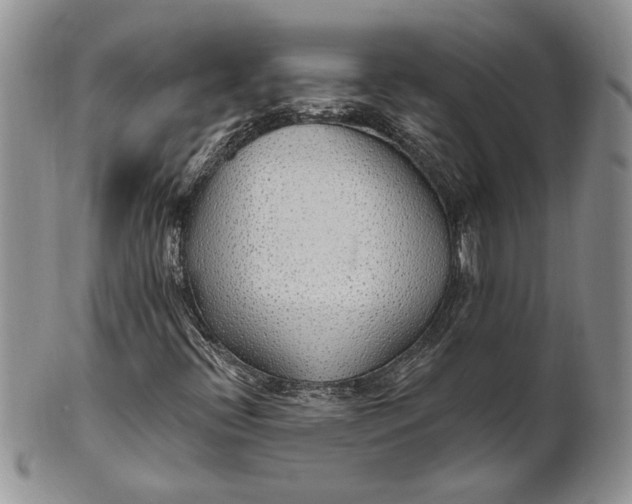 X0000100781396200807101804