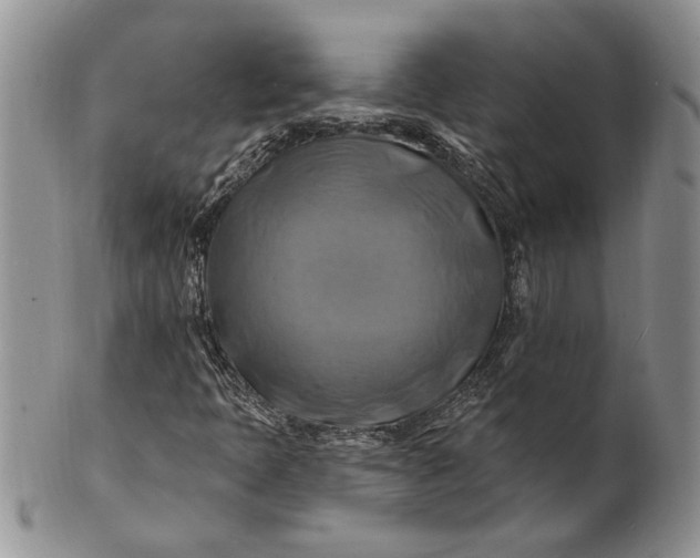 X0000100781397200807101804