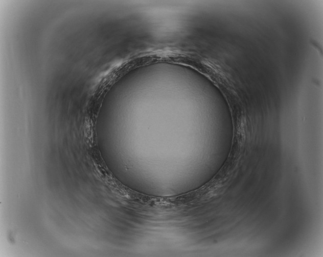 X0000100781398200807101804