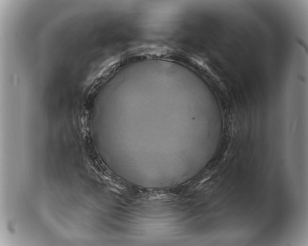 X0000100781399200807101804