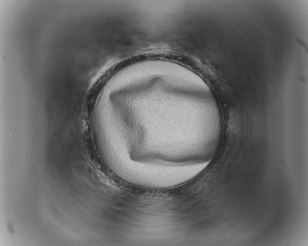 X0000100781400200807101804