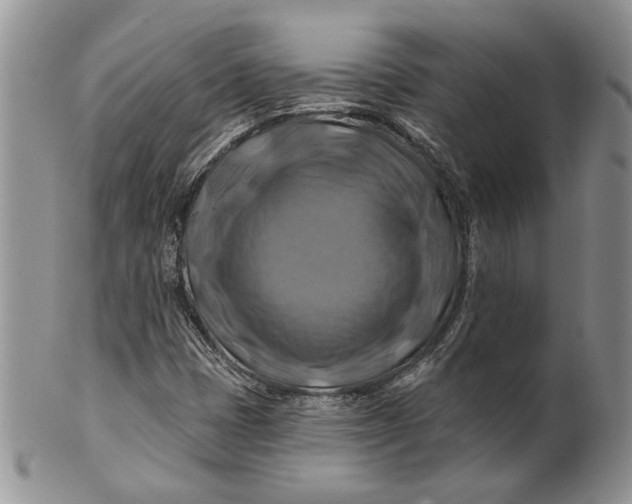 X0000100781401200807101804