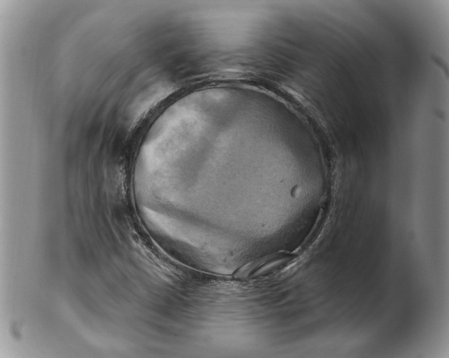 X0000100781402200807101804