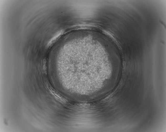 X0000100781403200807101804