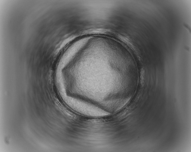 X0000100781404200807101804