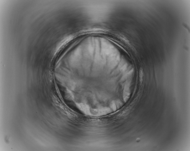 X0000100781405200807101805