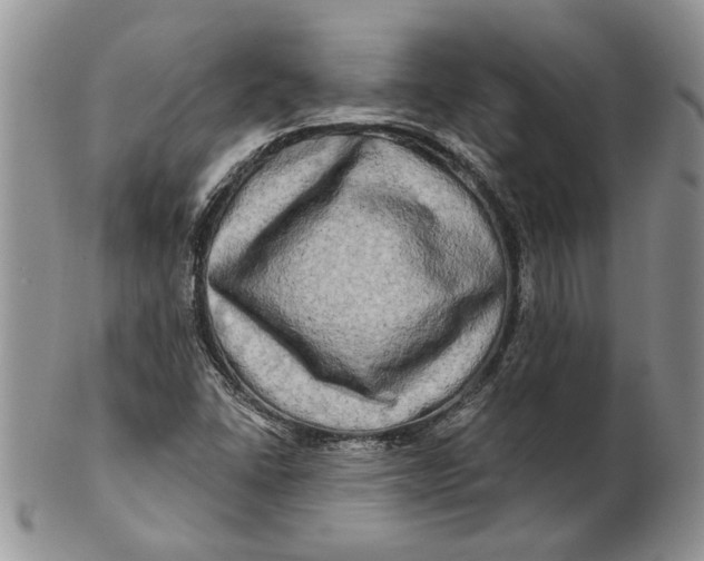 X0000100781406200807101805