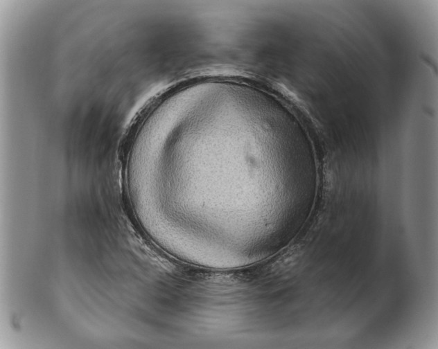 X0000100781408200807101805