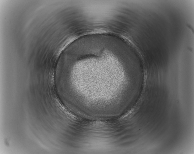 X0000100781409200807101805