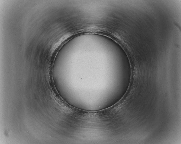 X0000100781410200807101805