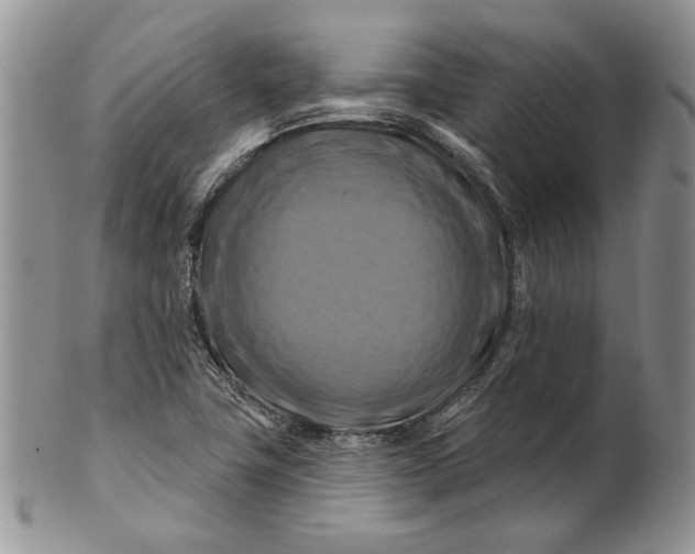 X0000100781411200807101805