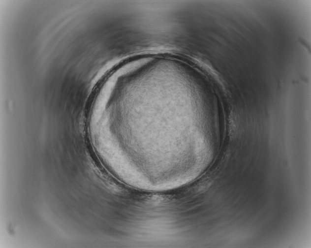 X0000100781412200807101805