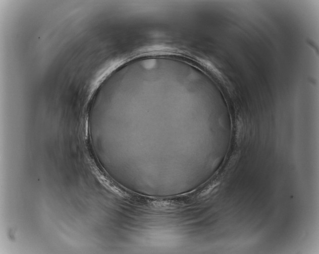 X0000100781413200807101805