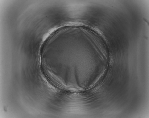 X0000100781414200807101805