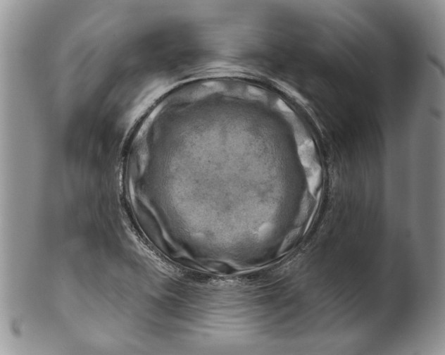 X0000100781415200807101805