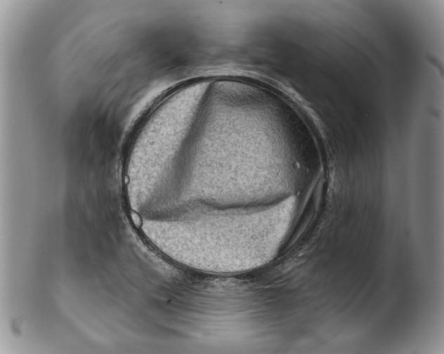 X0000100781416200807101805